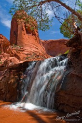 Coyote Waterfall by Gary-Randall.com