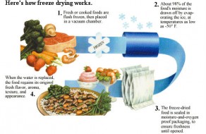 Freeze-drying Process by Oregon Freeze Dry, Inc.